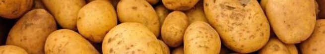 Bild på potatisknölar