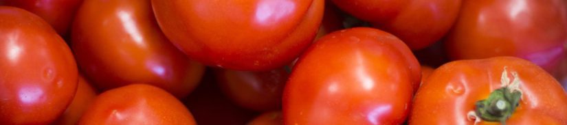 Bild på tomater.