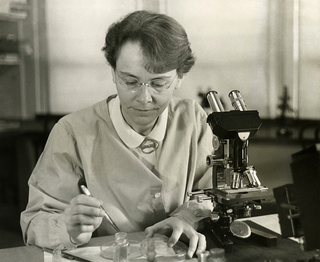 Foto av Barbara McClintock, 1902-1992, i hennes laboratoium.