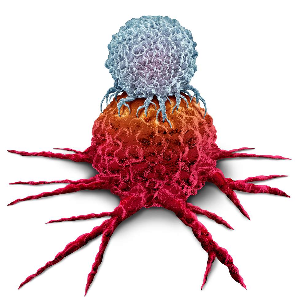 Illustration av en T-cell som attackerar en cancercell