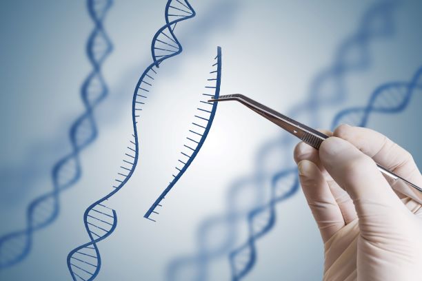Bilden visar en hand som med en pincett tar bort en sekvens från en DNA-spiral.