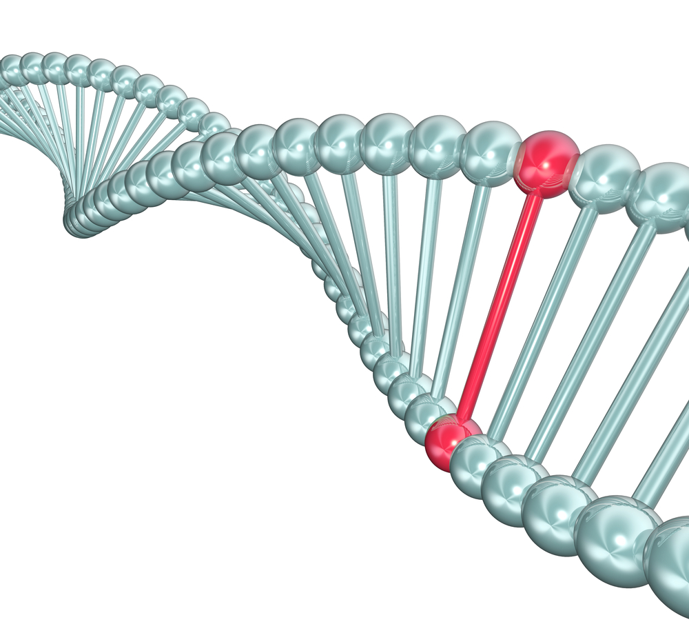 Bild av en DNA-spiral där ett baspar är markerat i rött för att symbolisera en mutation.