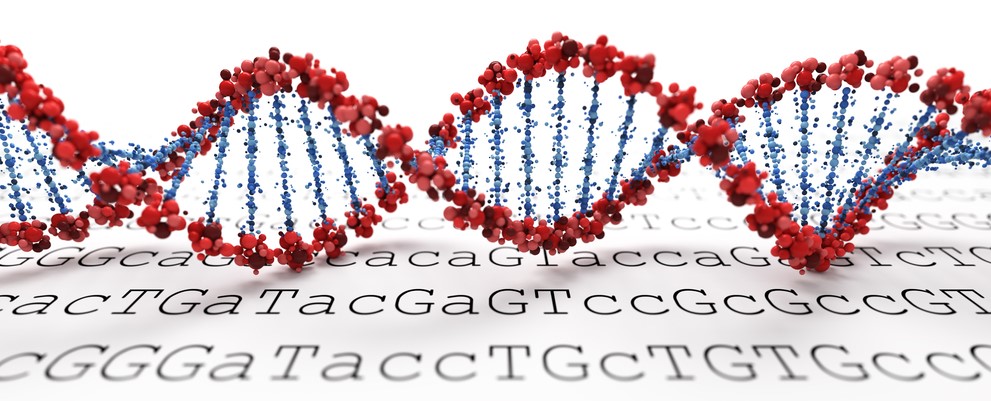 En DNA-spiral liggandes på en utskrift av DNA-sekvenserna.