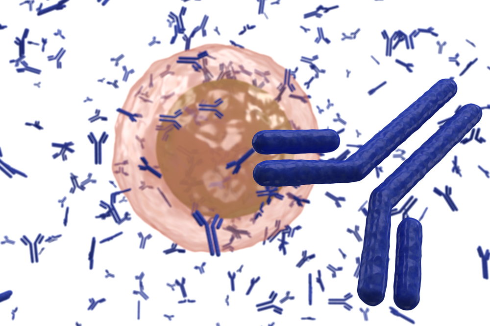 En B-cell och antikroppar