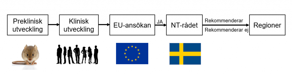 En schematisk bild som visar processen från en genterapis utveckling tills den når patienterna.  