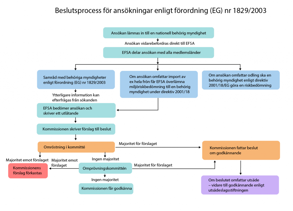 Ett flödesschema över beslutsprocessen för ansökningar enligt förordning (EG) nr 1829/2003.