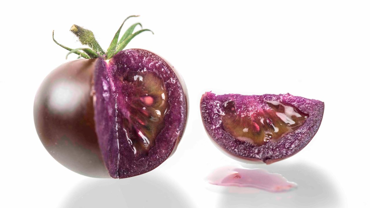 lila tomat